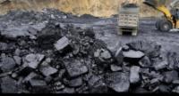 Coal Probe Uncovers Missing Lakvijaya Data